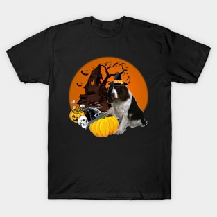 Happy Halloween Springer Spaniel Dogs Halloween Gift T-Shirt